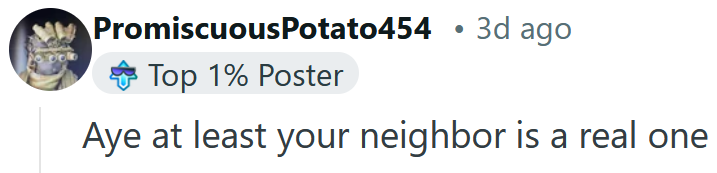 Reddit comment reading 'Aye at least your neighbor is a real one.'