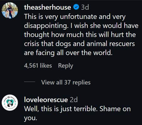 Instagram comments including one reading "This is very unfortunate and very disappointing. I wish she would have thought how much this will hurt the crisis that dogs and animal rescuers are facing all over the world."