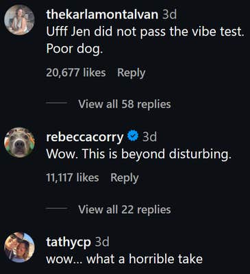 Instagram comments including one reading "Ufff Jen did not pass the vibe test. Poor dog."
