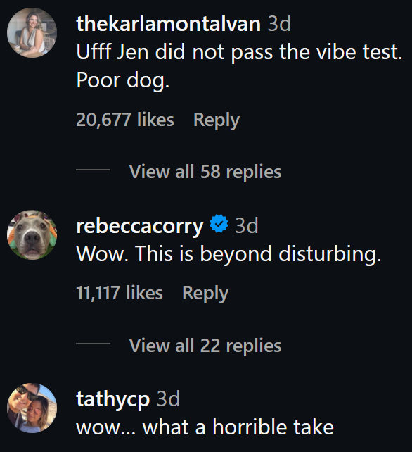 Instagram comments including one reading 'Ufff Jen did not pass the vibe test. Poor dog.'