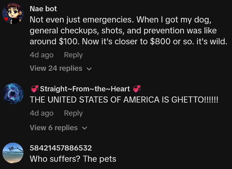 TikTok comments including one reading 'Not even just emergencies. When I got my dog, general checkups, shots, and prevention was like around $100. Now it's closer to $800 or so. it's wild.'