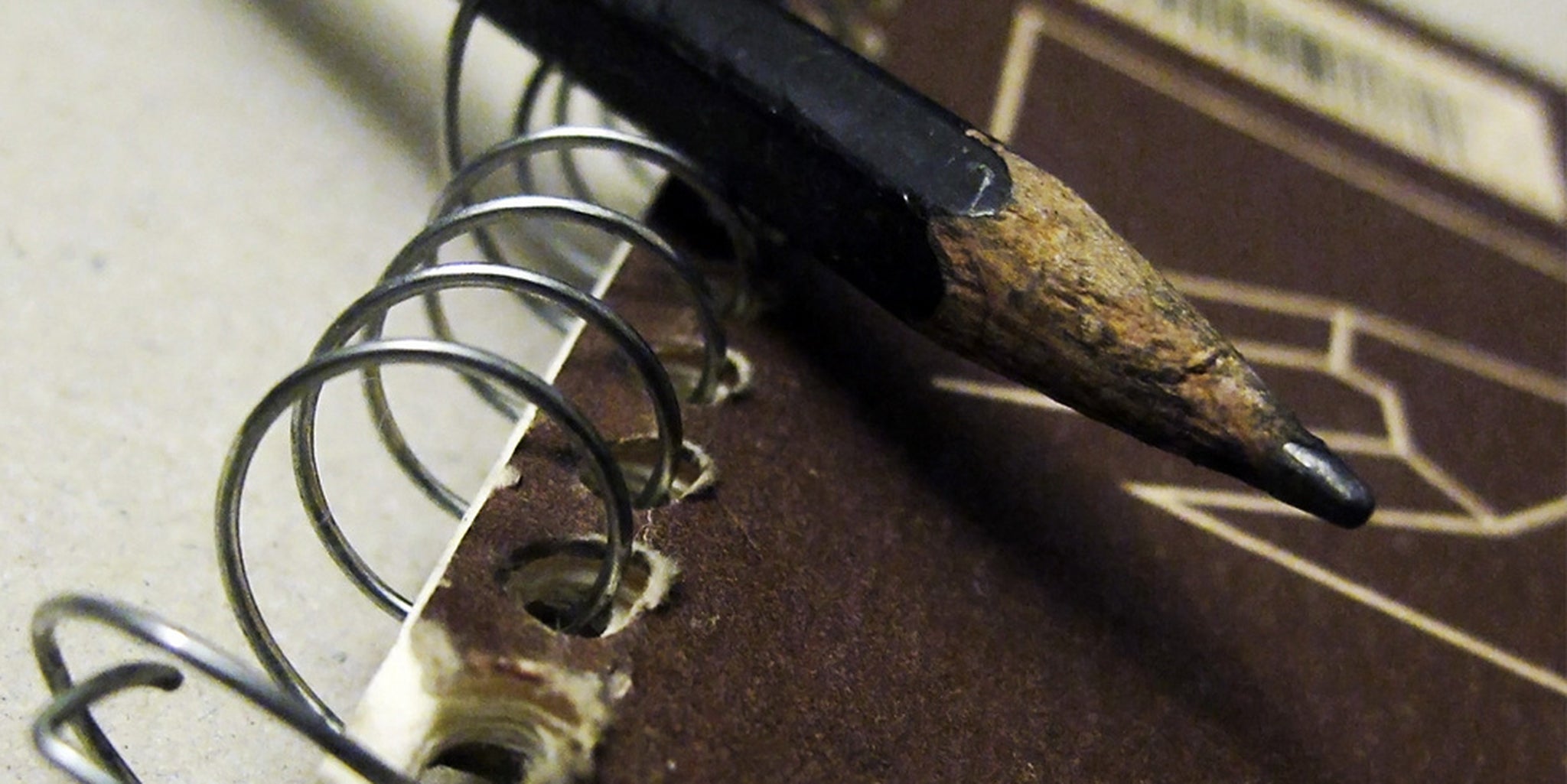 Homepage article image