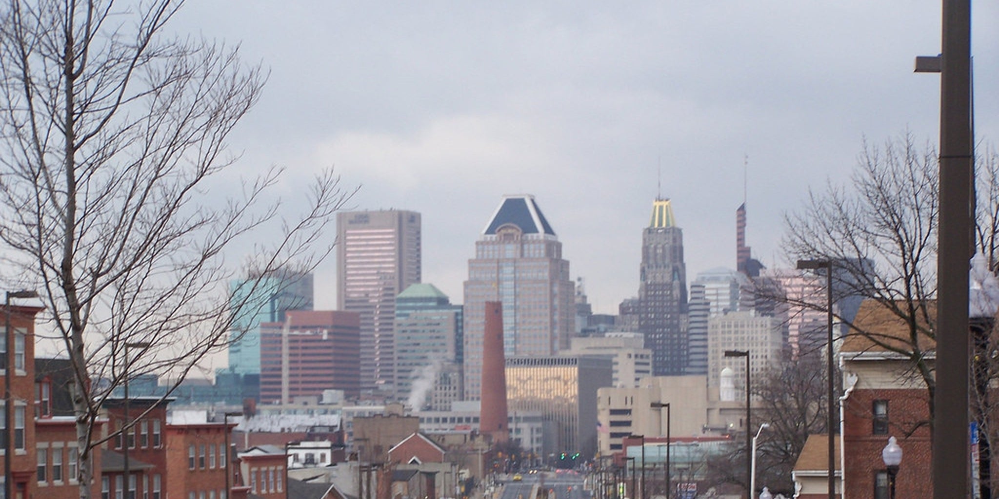 Homepage article image