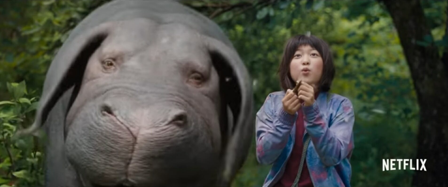 weird movies netflix : Okja