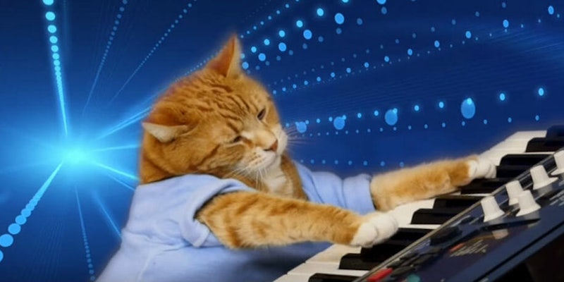 Play him off Keyboard Cat
