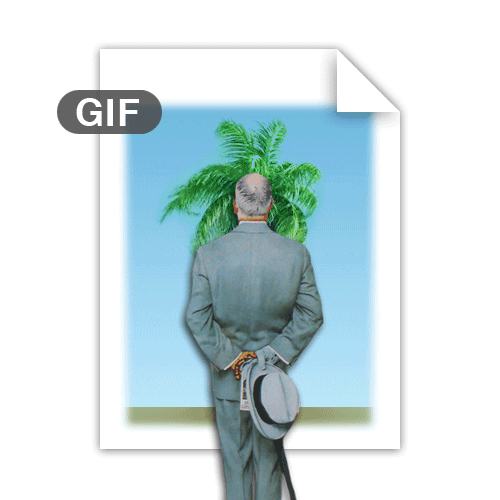 The Gif Connoisseur Honors Great Gifs By Blocking The View The Daily Dot