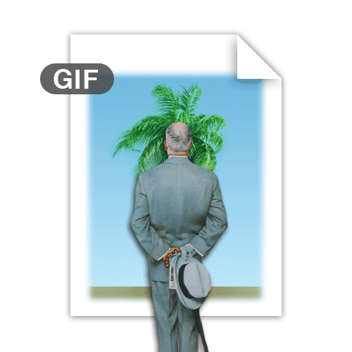 The Gif Connoisseur Honors Great Gifs By Blocking The View The Daily Dot The Gif Connoisseur Honors Great Gifs By Blocking The View The Daily Dot