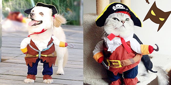 pet pirate costume