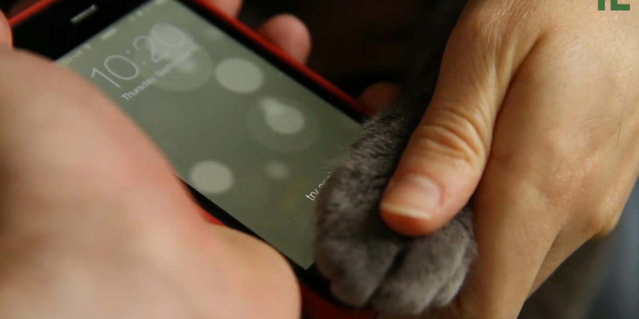 Палец на айфон 13. Сканер отпечатка пальца на смартфоне. Разблокиратор смартфонов отпечаток. Телефон с отпечатком на экране.