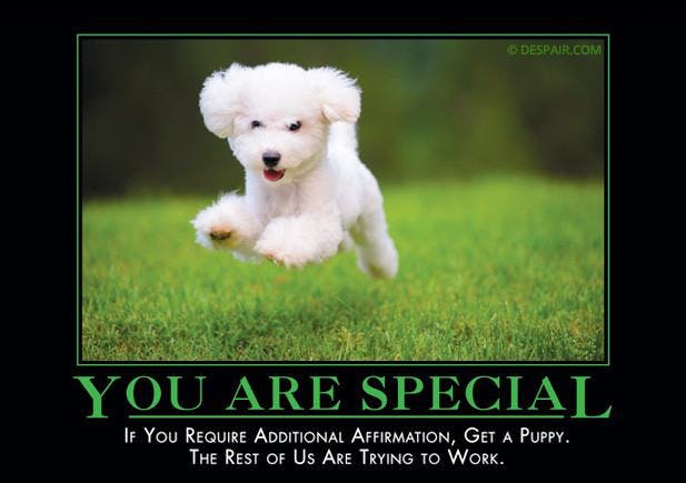 you are special demotivational poster