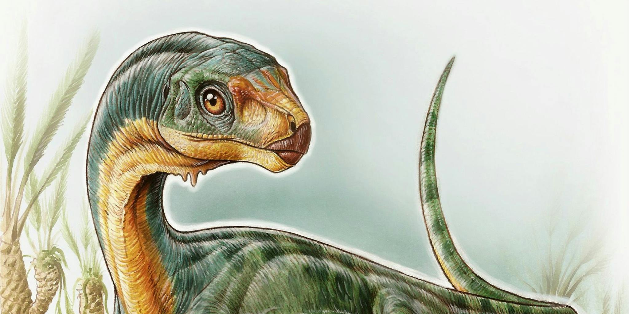 Тираннозавр мезозой. Травоядные Хордовые динозавры. Рептилии зауроподы тераподы рапторы. Длинношеий динозавр. Вымерший ящер