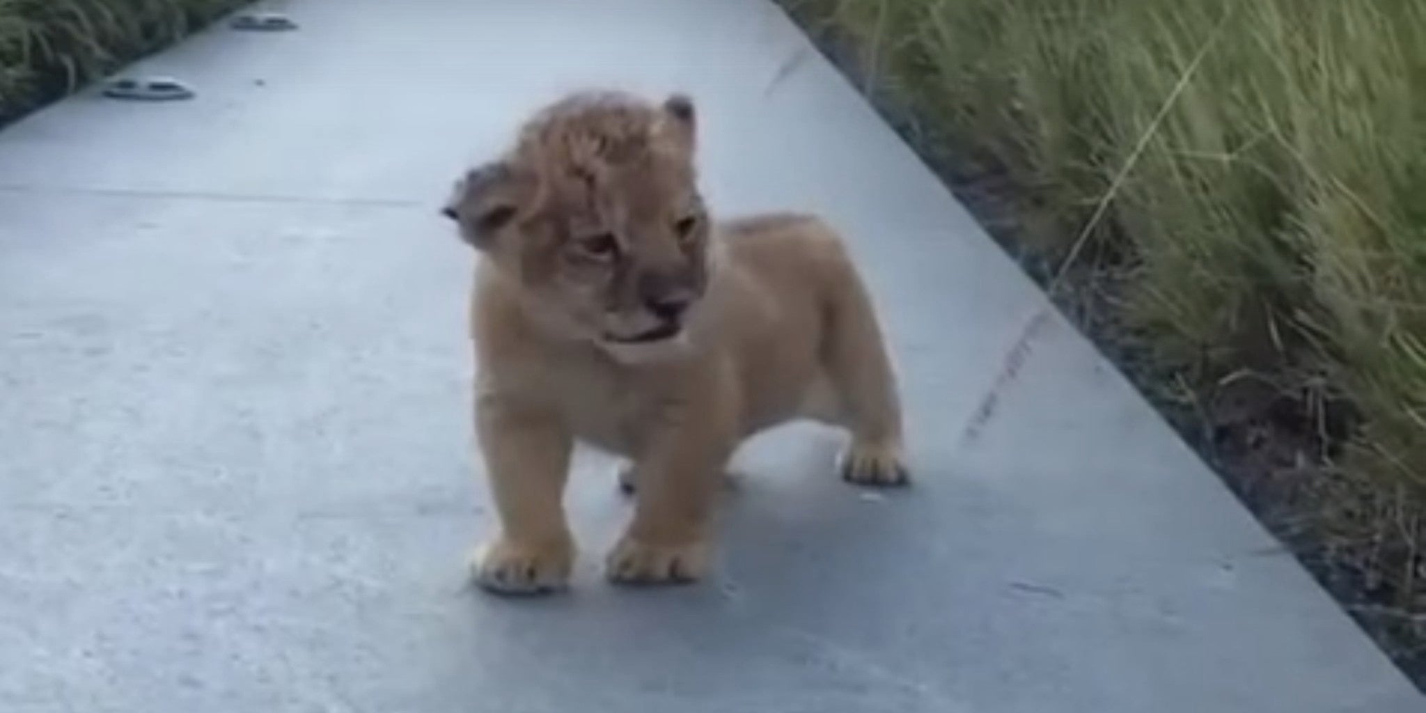 Homepage article image