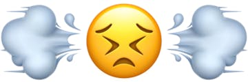 Perservering emoji head with reversed dashing away and regular dashing away emoji on either side