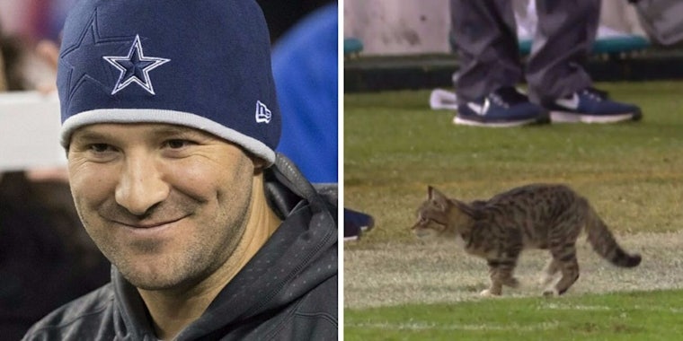Tony Romo cat NFL