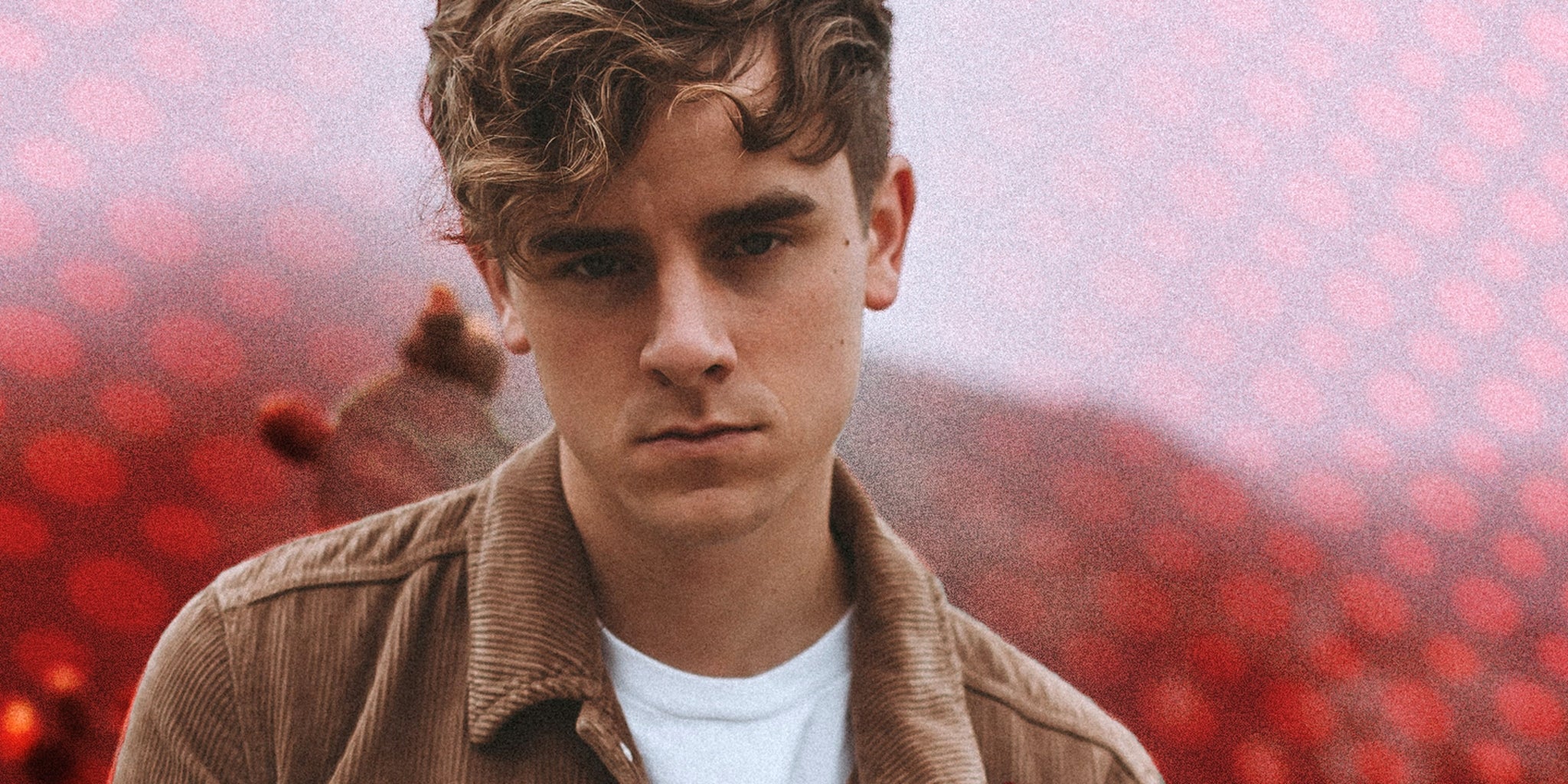 Homepage article image