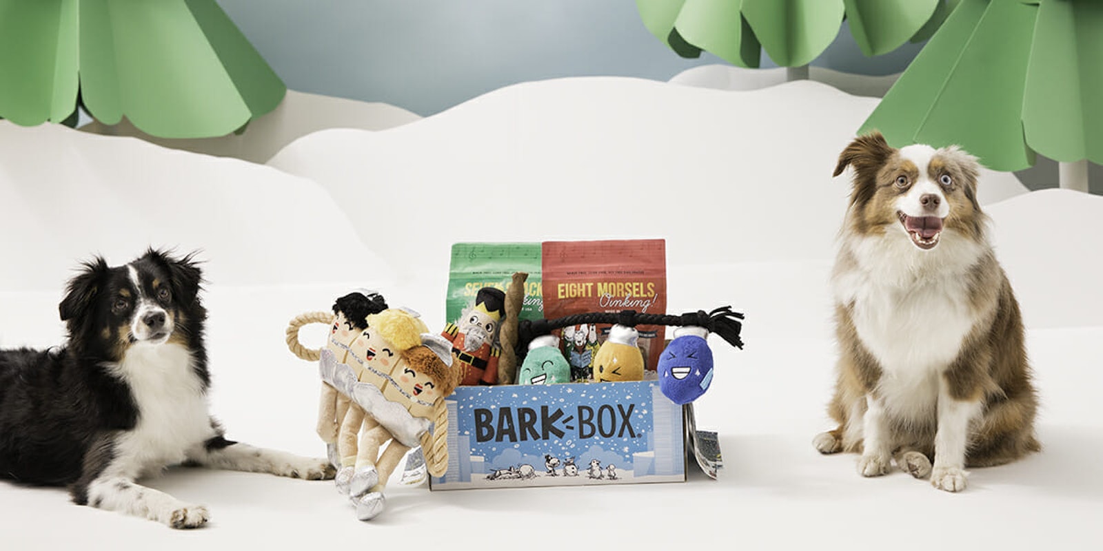 BarkBox Giving Tuesday