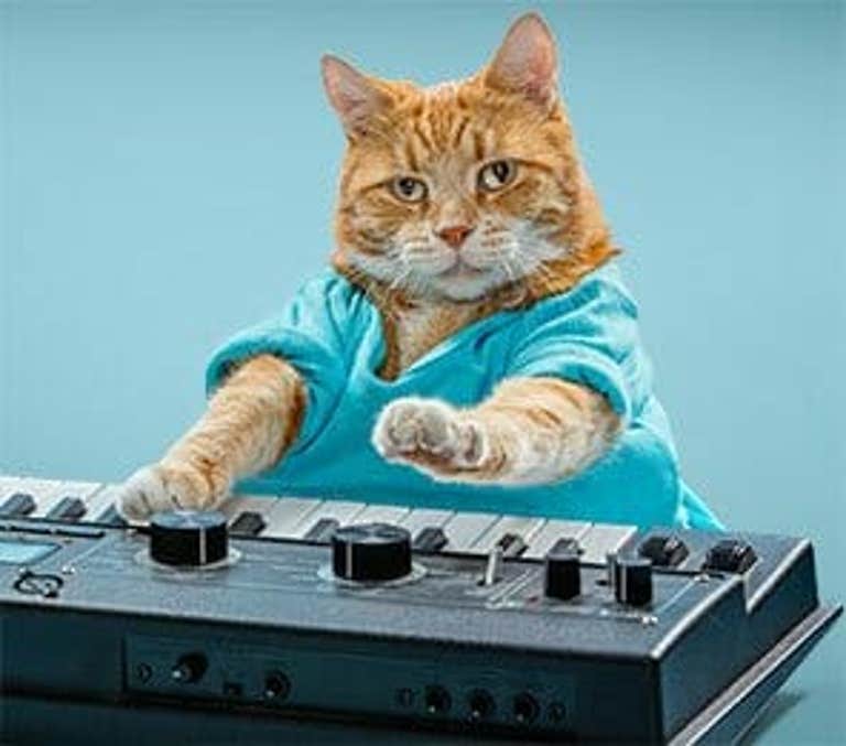 Keyboard Cat Bento