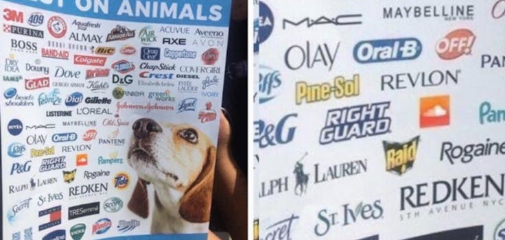 these companies test on animals meme