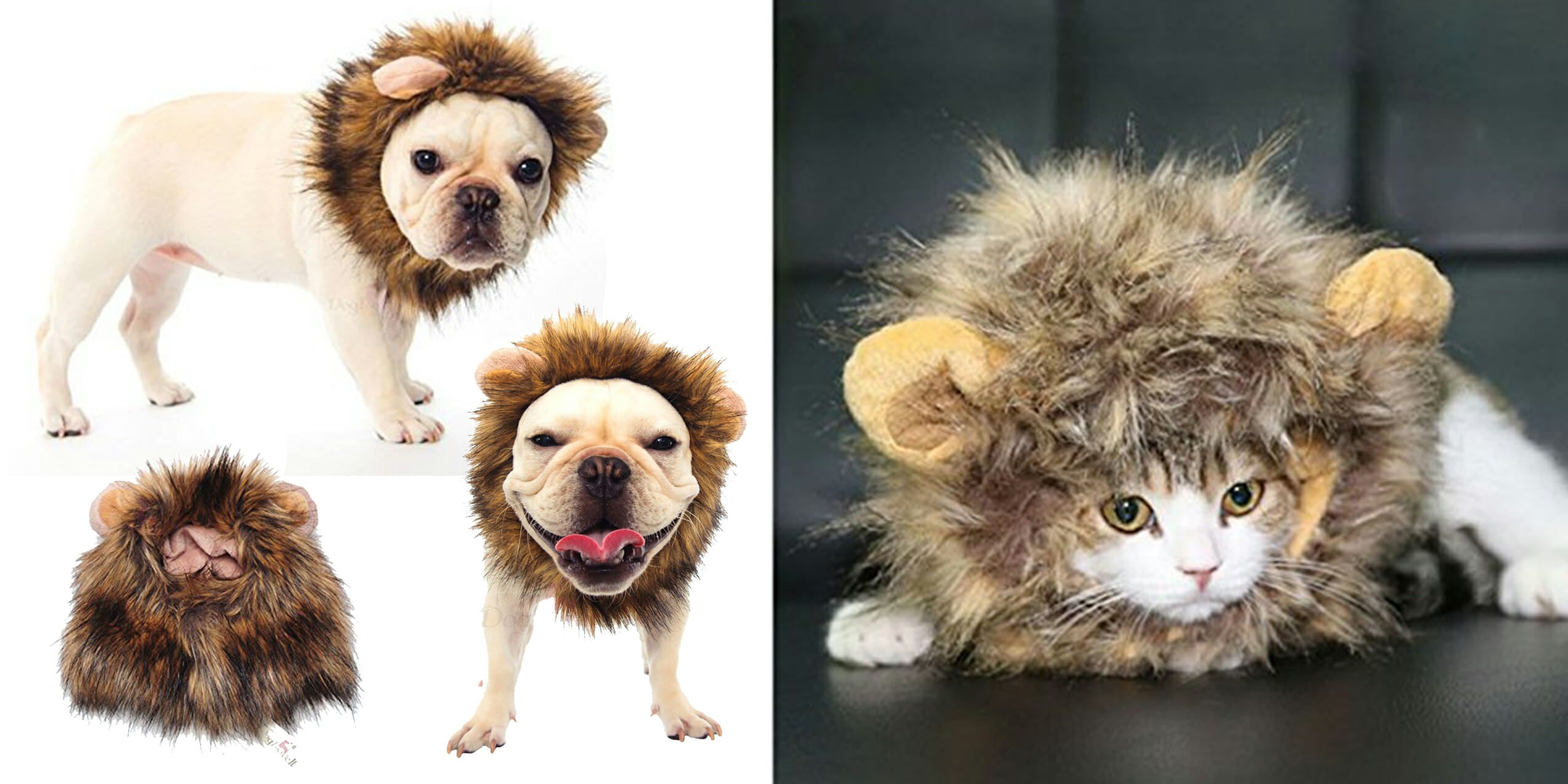 This adorable lion pet costume will transform your pet into royalty