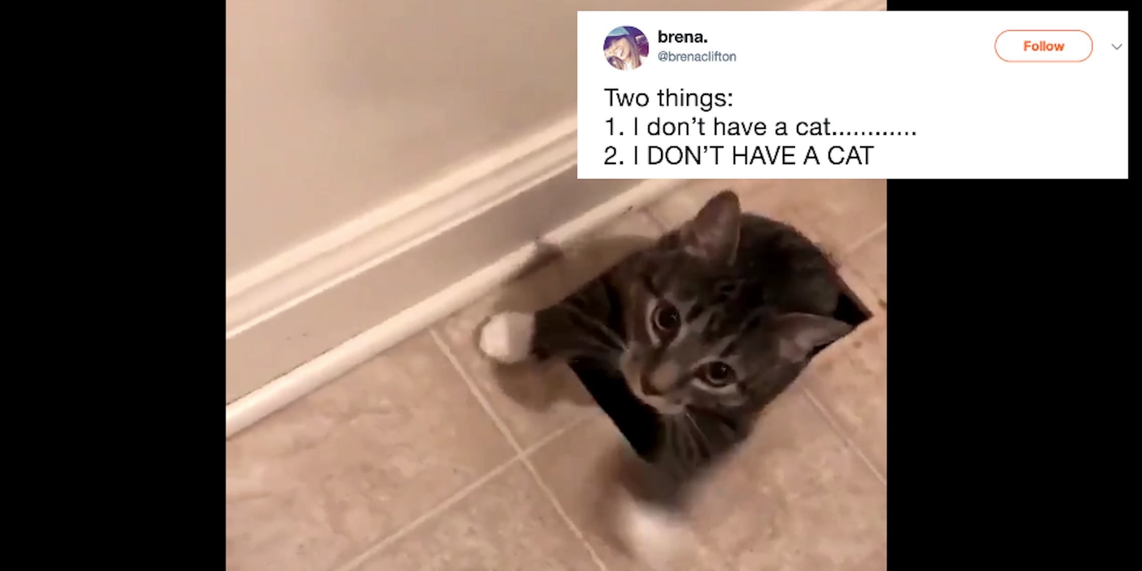 Cat crawling up vent in viral video.
