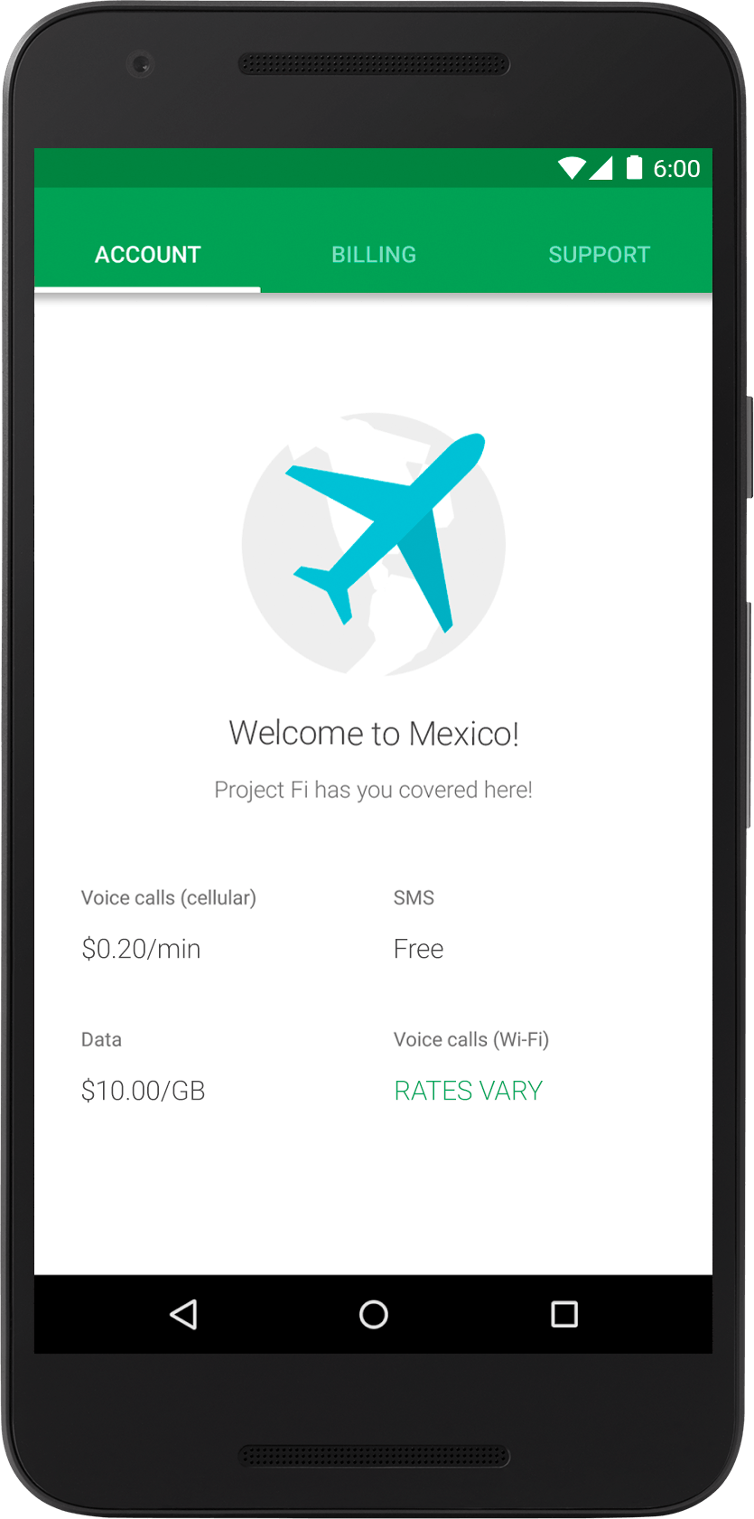 google project fi international fees