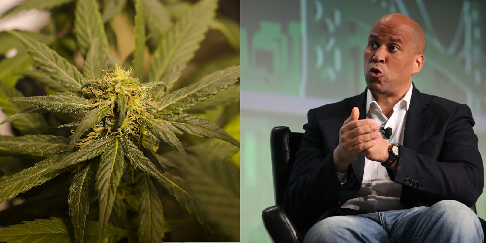 Cory Booker legalized marijuana