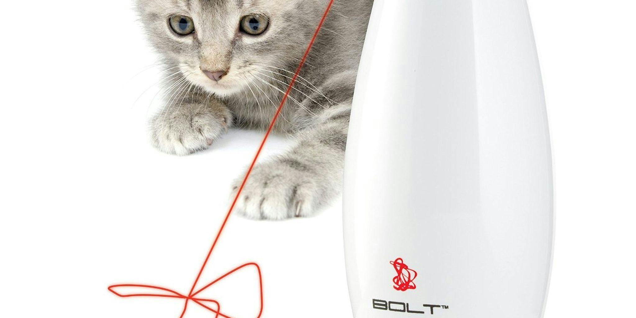 automatic laser pointer