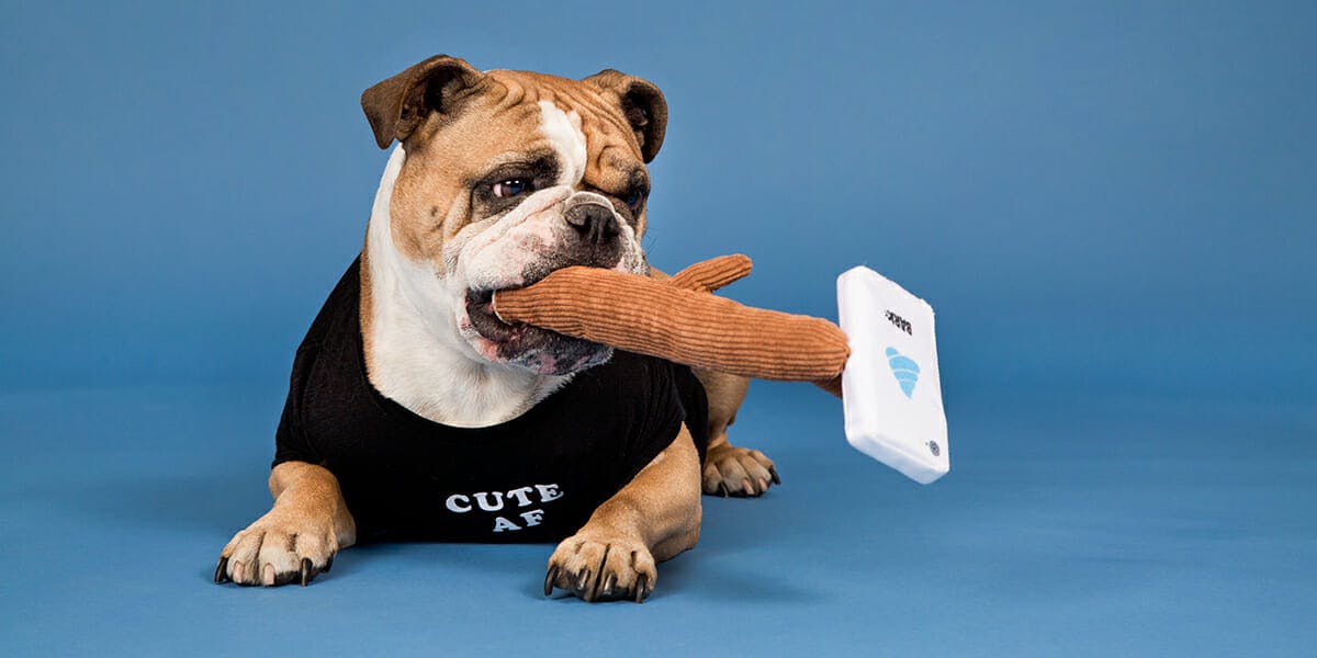 barkshop dog toys selfie stick