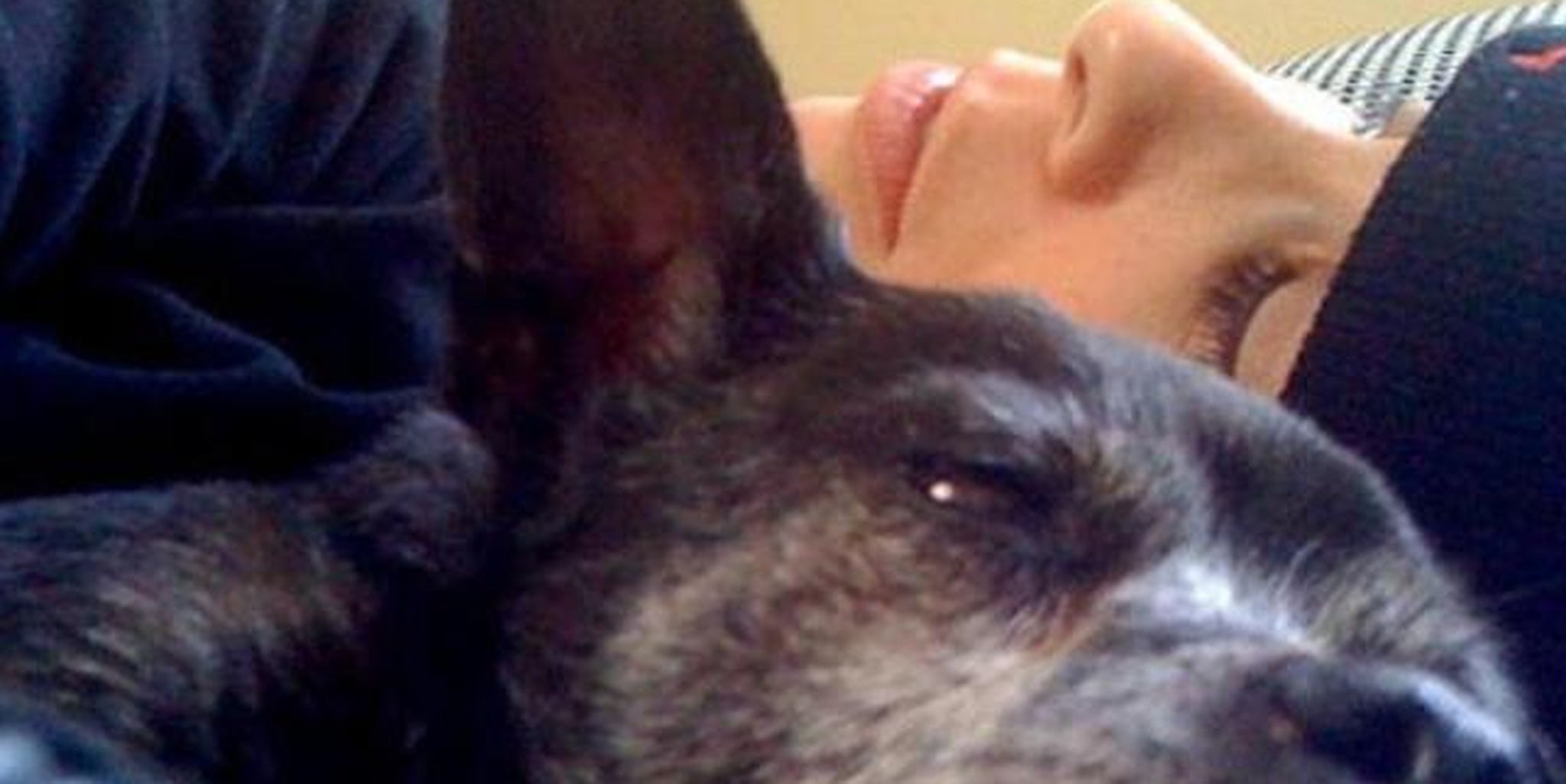 Homepage article image