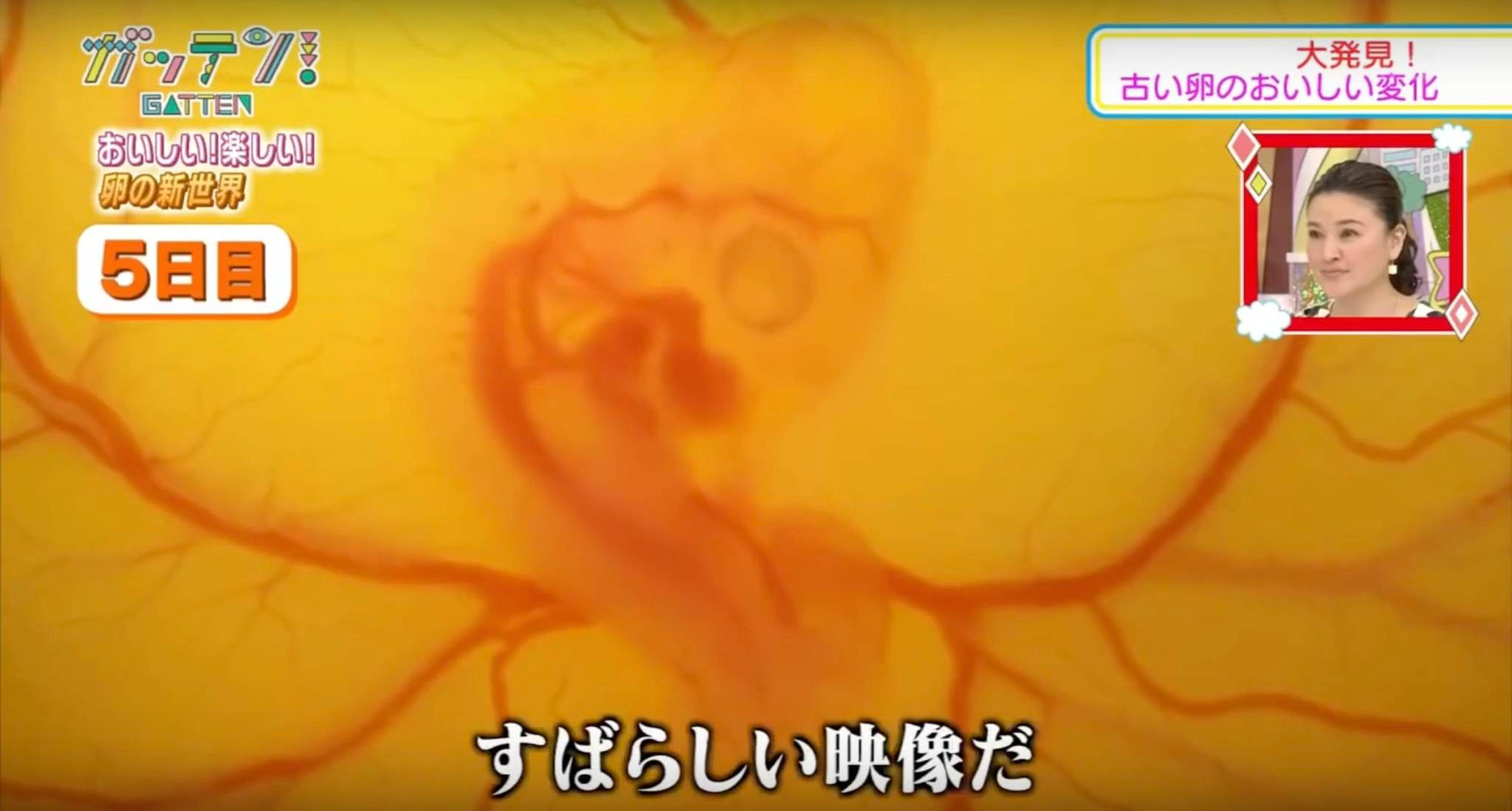 Homepage article image