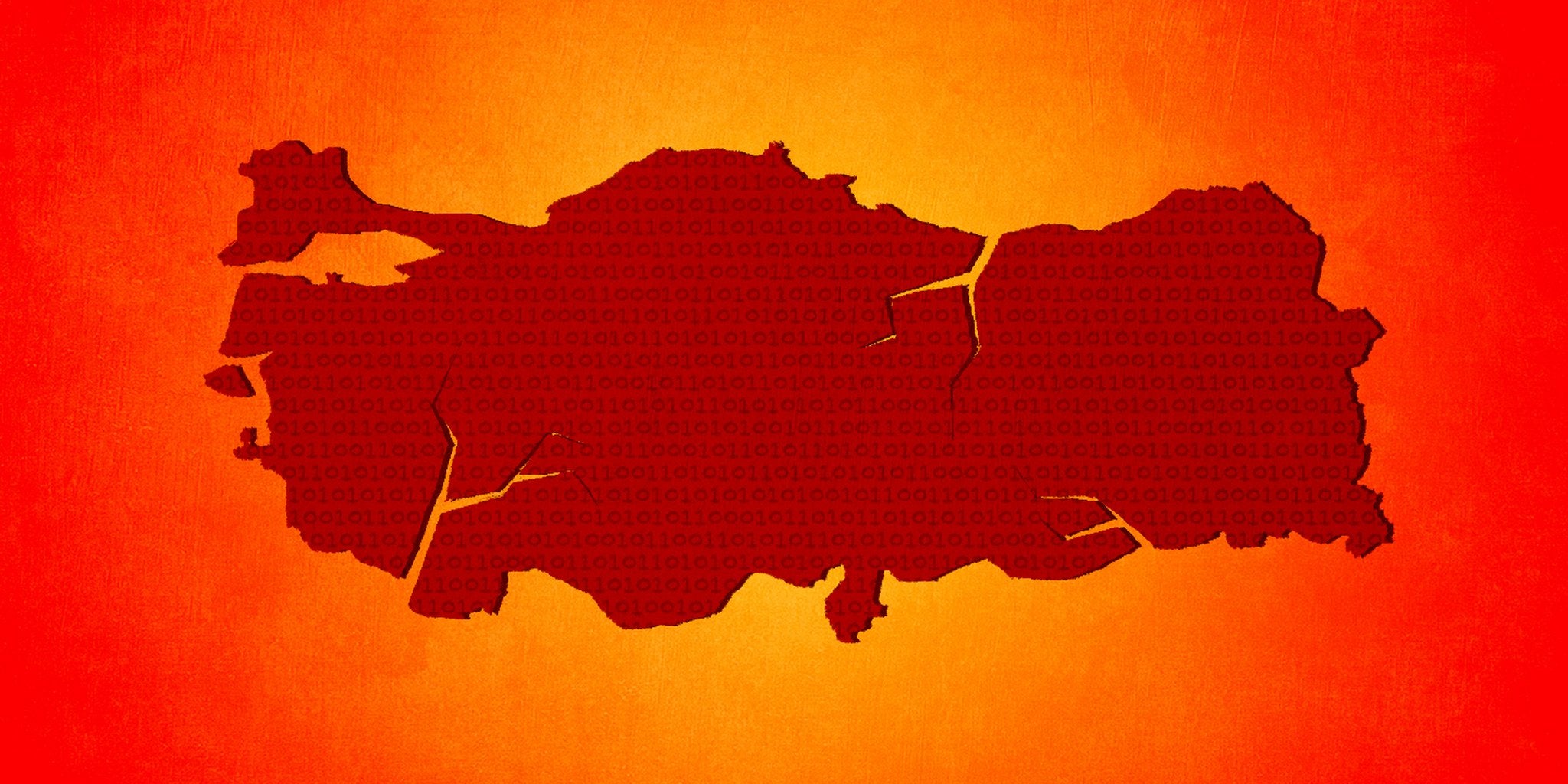 Homepage article image