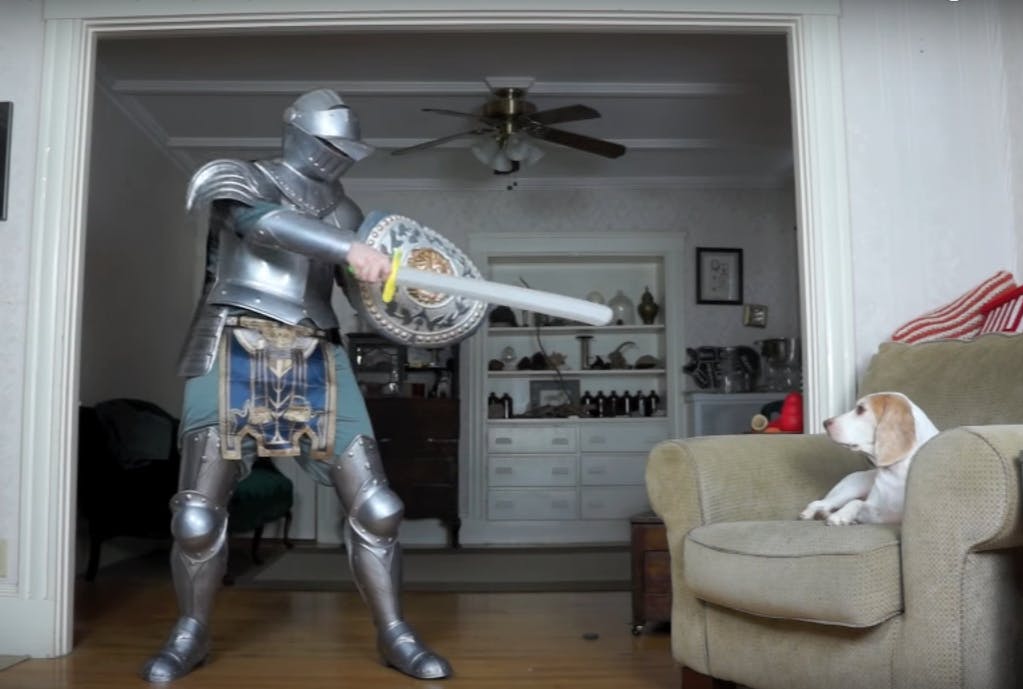 dog vs. knight
