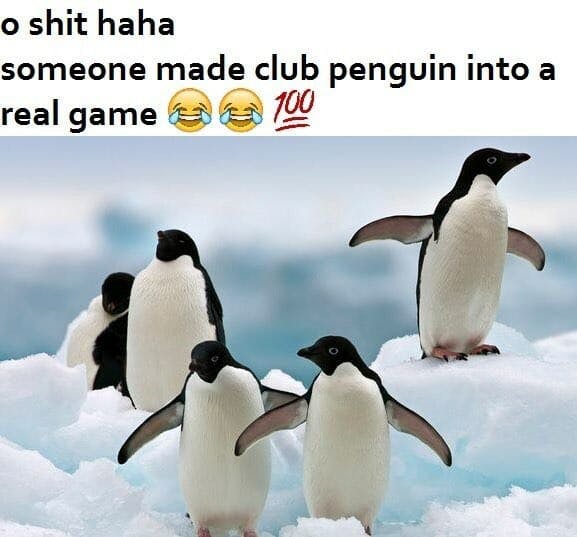 o shit haha they made club penguin real