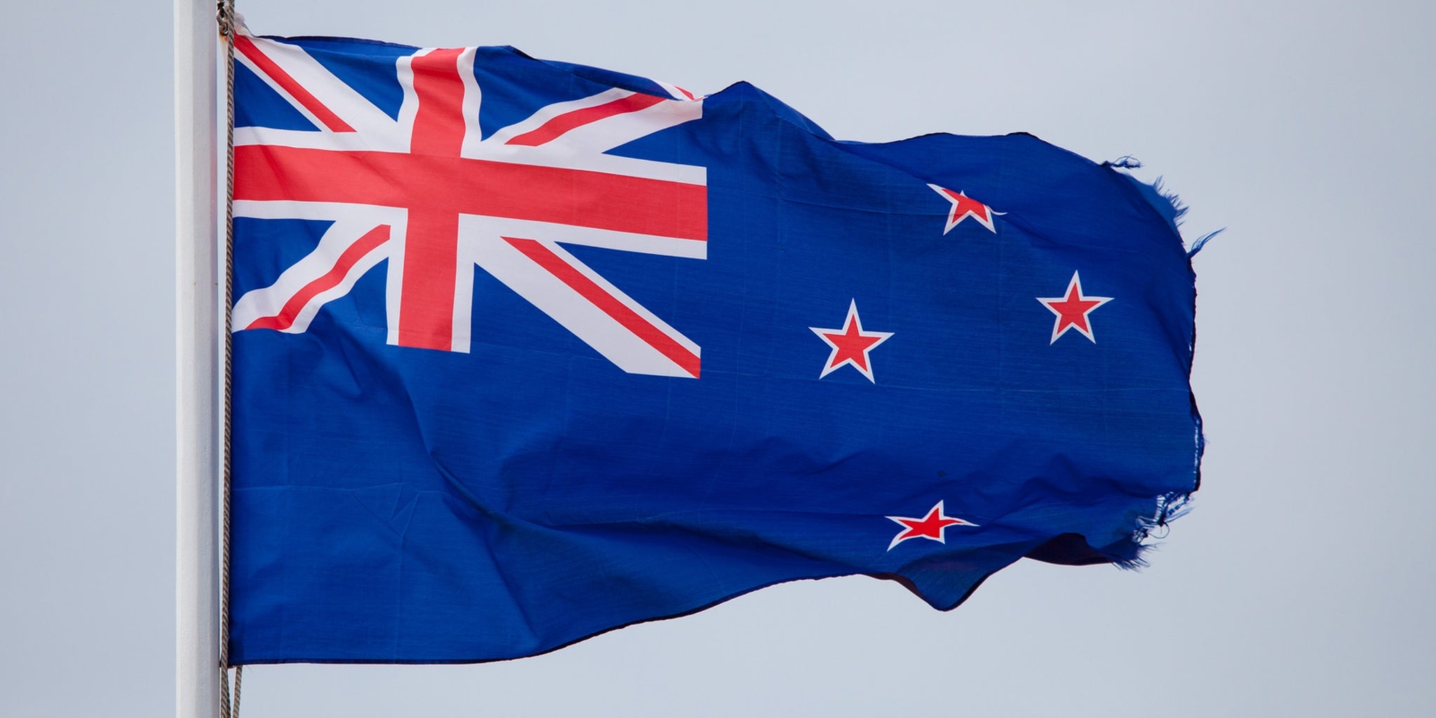 New Zealand's new flag may feature a kiwi shooting lasers from its eyes