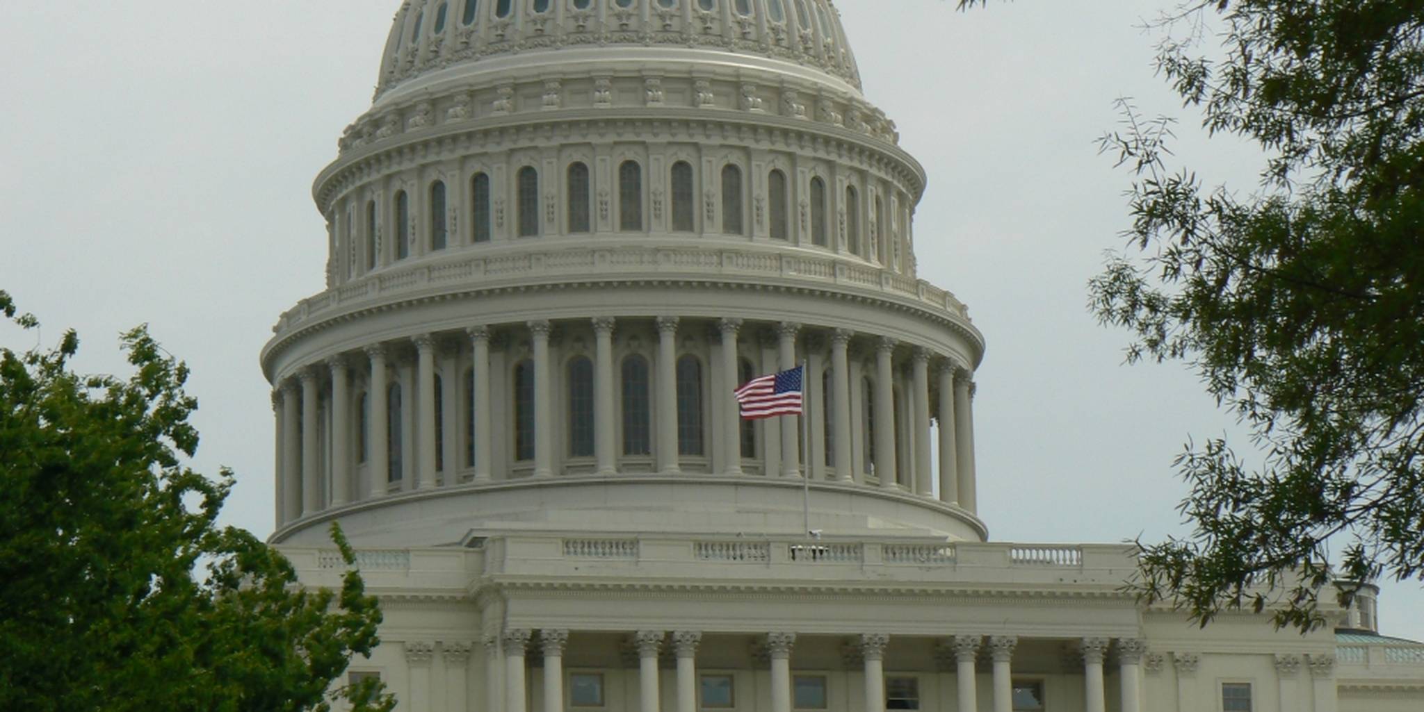 Homepage article image