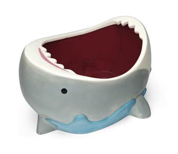 shark