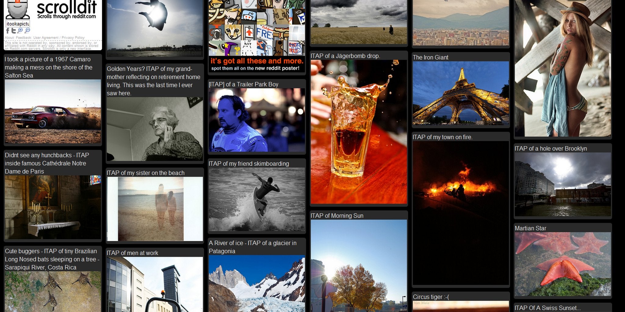 Homepage article image