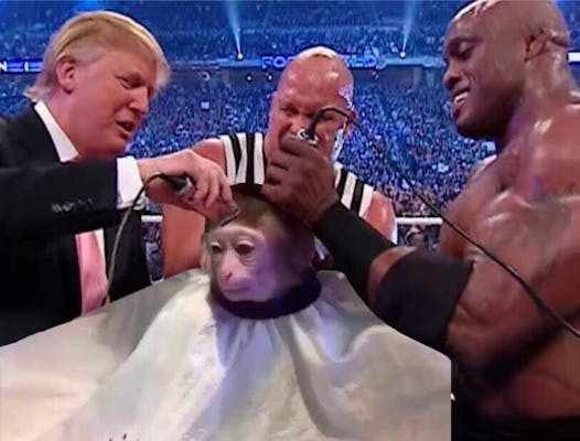 new memes 2017 : monkey getting a haircut