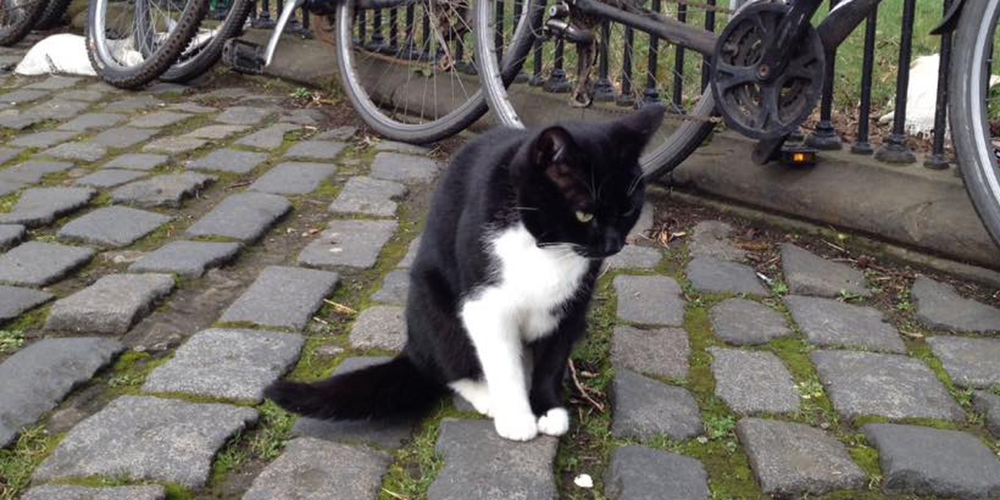 Homepage article image