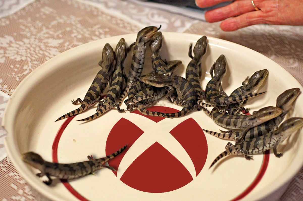 Lizard Squad shuts down Xbox Live with DDoS attacks - The Daily Dot