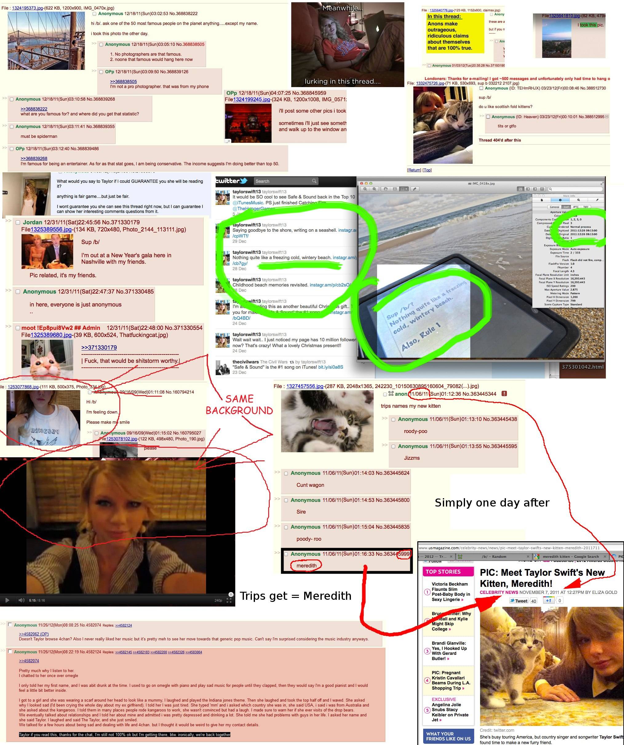 Is Taylor Swift a 4chan user?