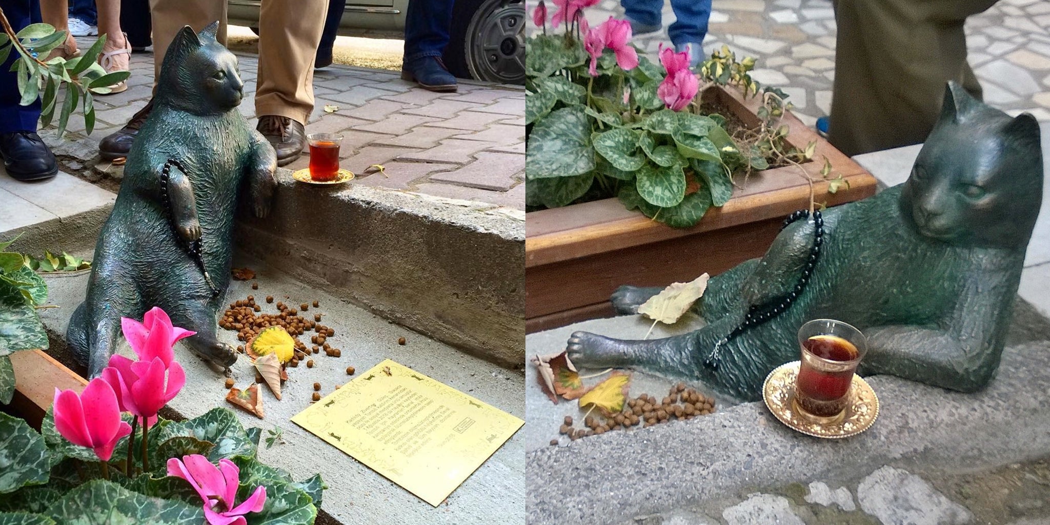 Homepage article image