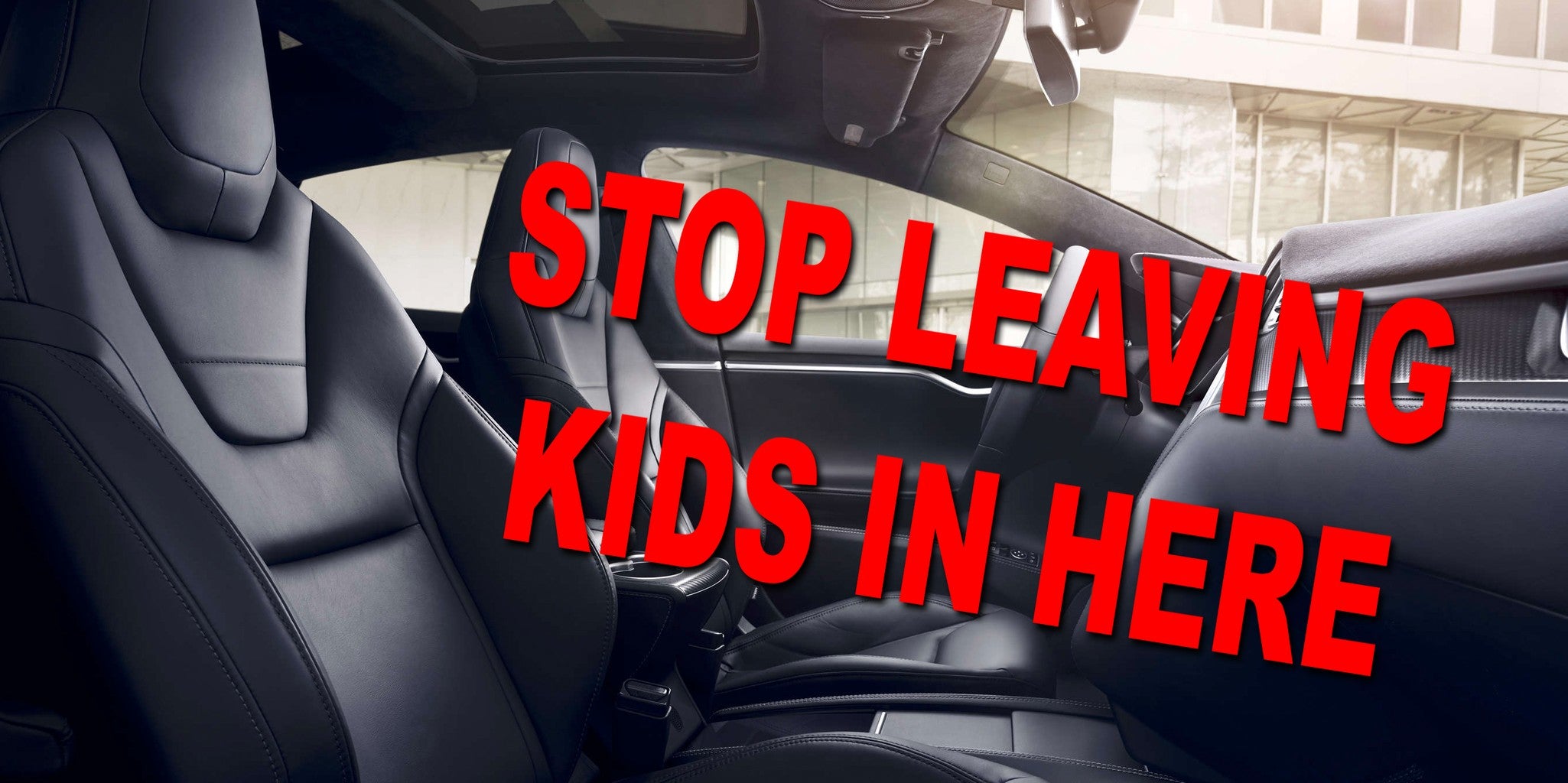 Tesla's Cabin Overheat Protection is Designed for Sh*tty people