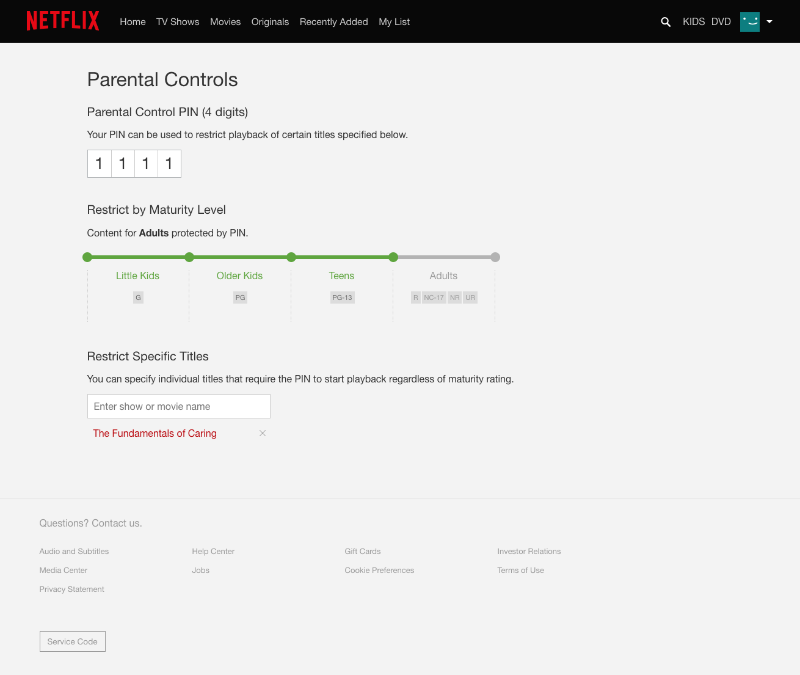 Netflix pin protection