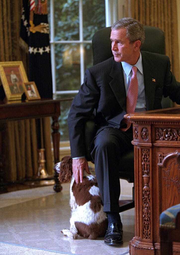 President George W. Bush pets Spot while looking out the window Monday, Oct. 1, 2001, from his desk in the Oval Office of the White House. Photo by Eric Draper, Courtesy of the George W. Bush Presidential Library