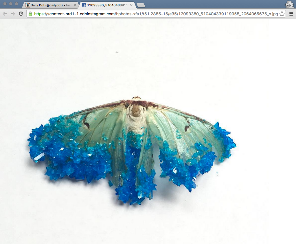 The Simple Trick to Downloading Full-Resolution Instagram Photos