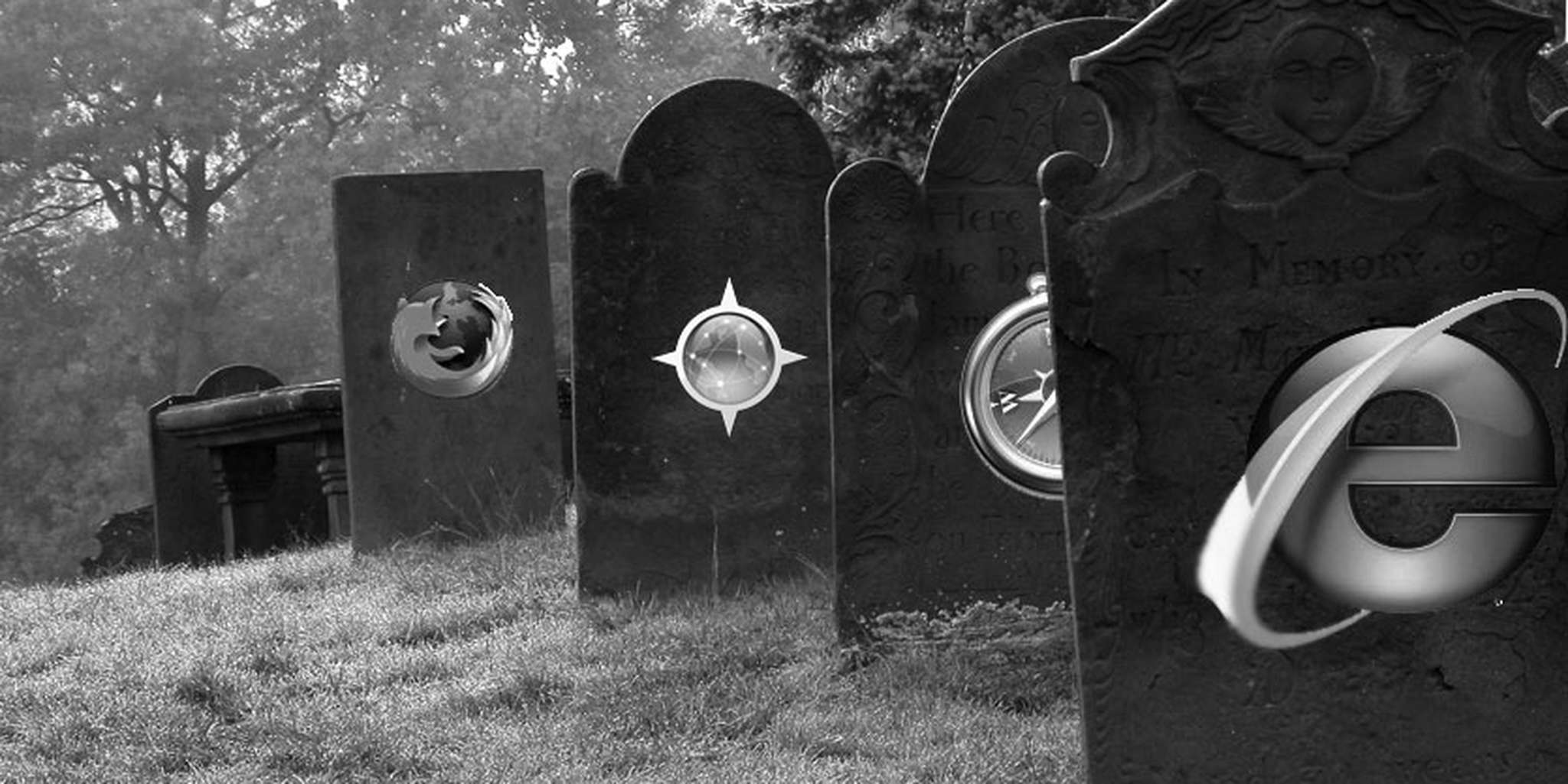 Homepage article image