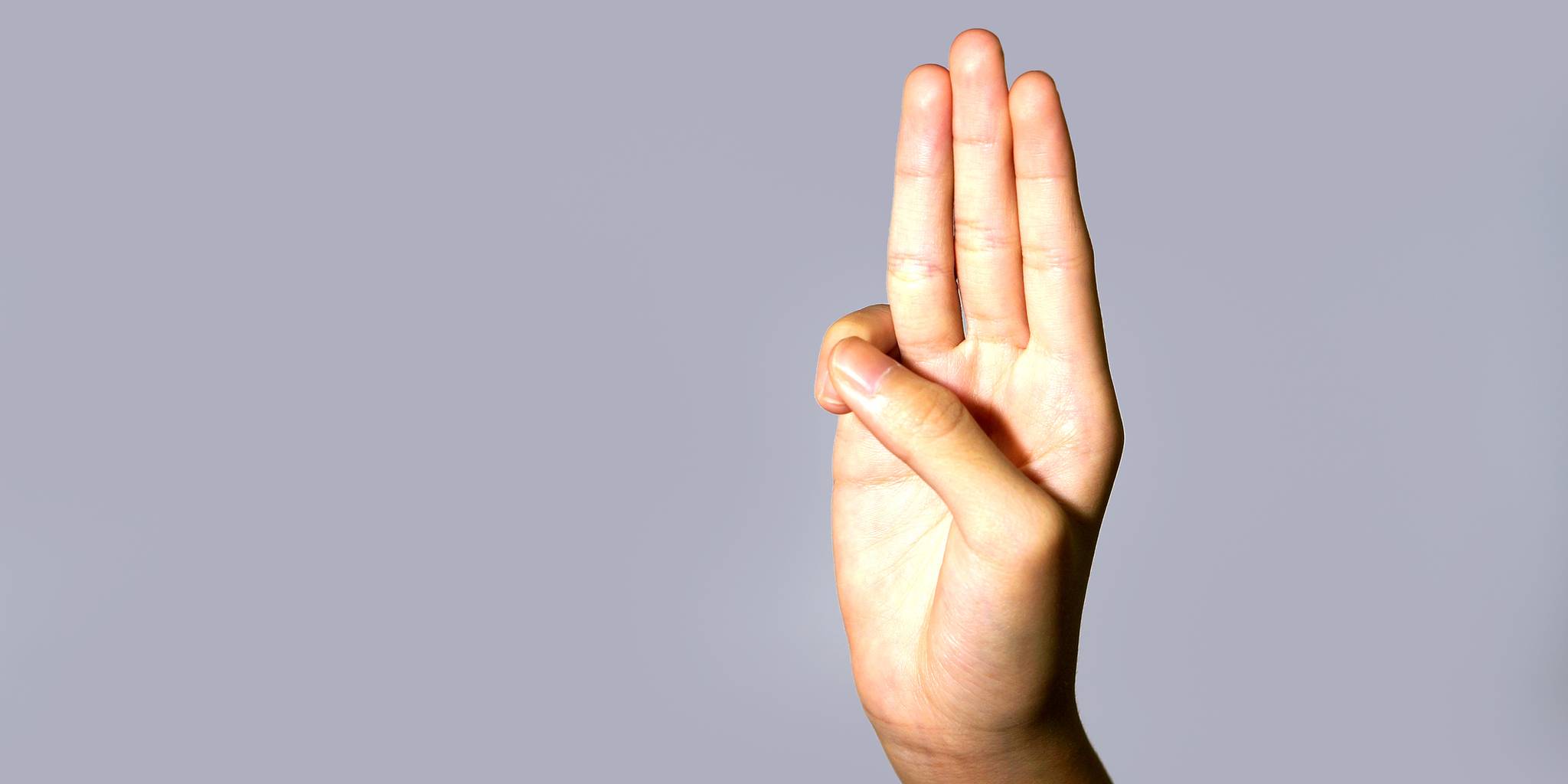 Homepage article image