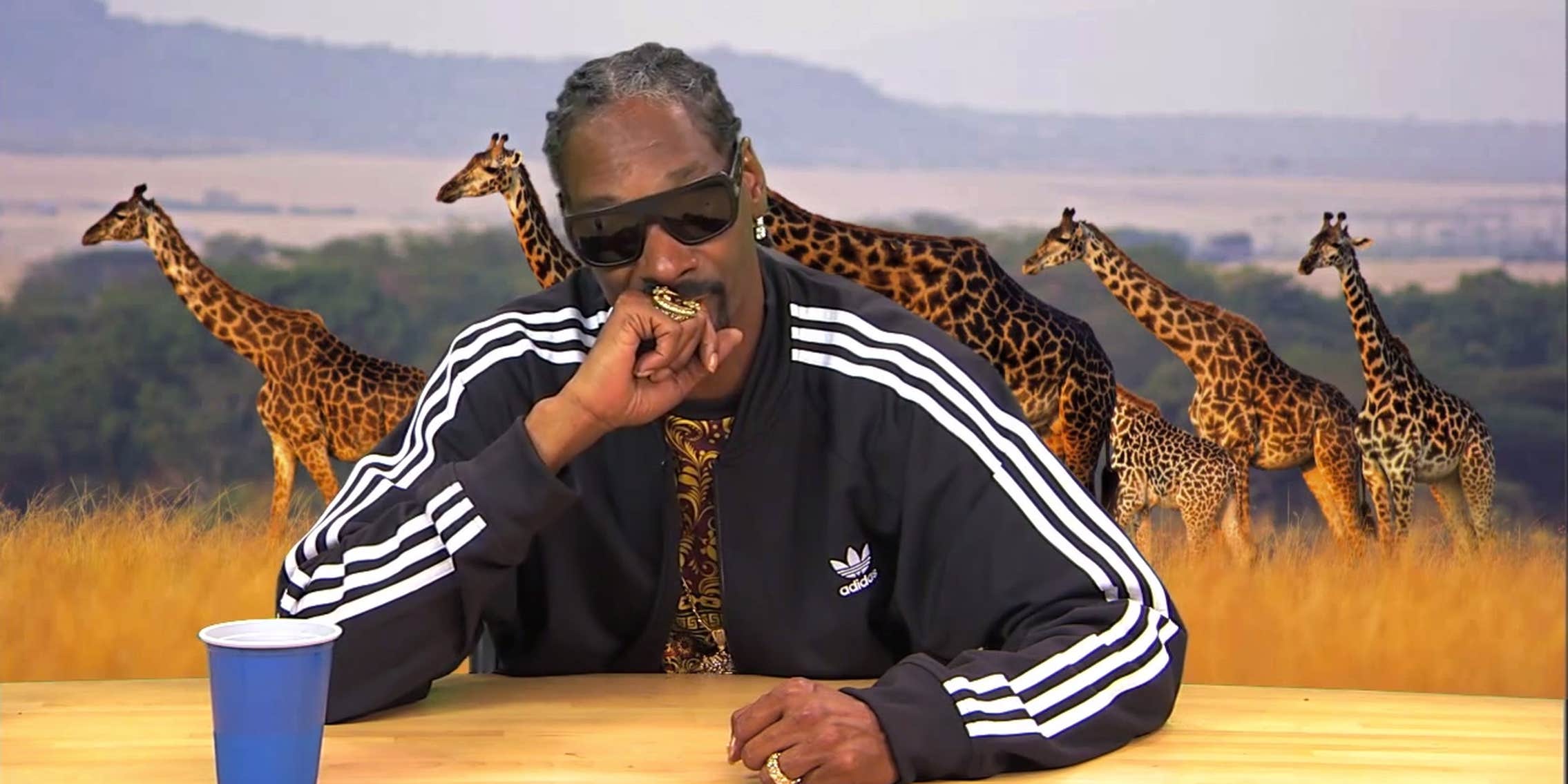 Here's what Earth' is like with Snoop Dogg narrating
