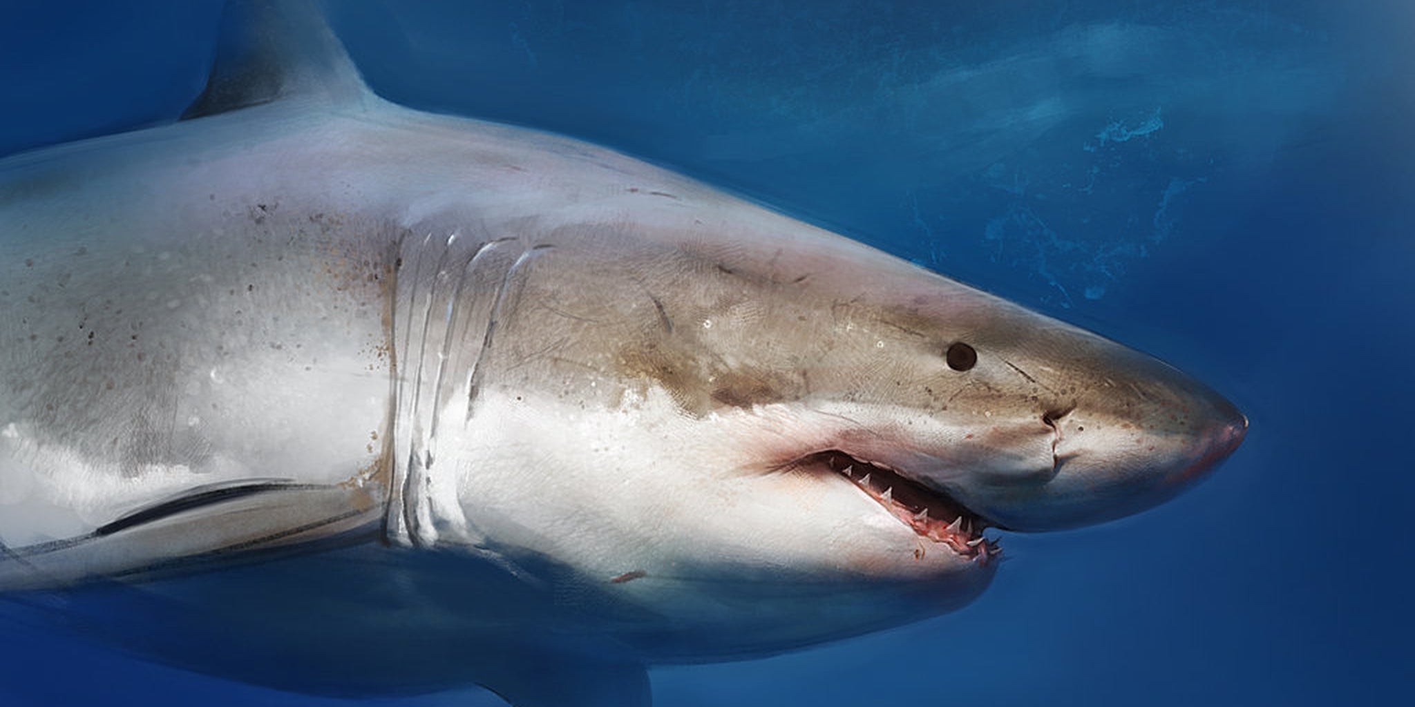 Homepage article image